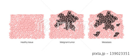 Cells structure sketch 139023351