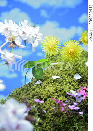 春イメージ　桜　タンポポ　芝桜　クローバー　苔 139023434