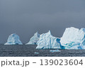 Icebergs near Graham passage 139023604