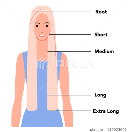 Flat color hair length guide with front view showing different hair lengths from short to extra long, modern minimal Flat color hair length guide with front view showing different hair lengths from short to extra long, modern minimal 139023691