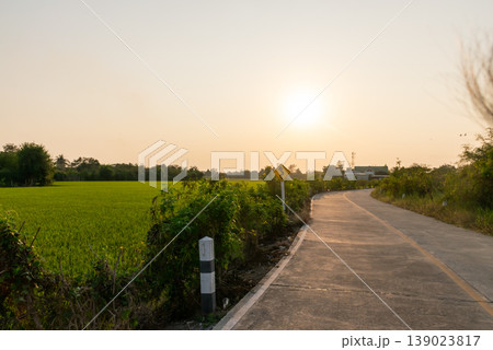 Quiet countryside road beside green rice fields under warm sunset sky peaceful rural landscape travel and nature background with soft light and calm atmosphere Quiet countryside road beside green rice fields under warm sunset sky peaceful rural landscape travel and nature background with soft light and calm atmosphere 139023817