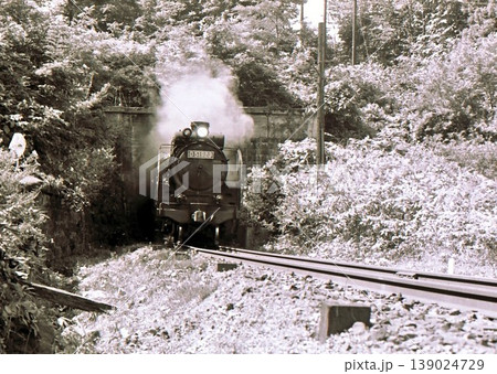 昭和45年 トンネルを出る蒸気機関車D51 奥羽本線碇ヶ関 青森県 記録写真 昭和45年 トンネルを出る蒸気機関車D51 奥羽本線碇ヶ関 青森県 記録写真 139024729