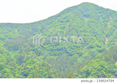 新緑の山景色 越後湯沢駅西口付近らの眺め 新緑の山景色 越後湯沢駅西口付近らの眺め 139024784