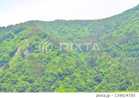 新緑の山景色　越後湯沢駅西口付近らの眺め　　 139024785
