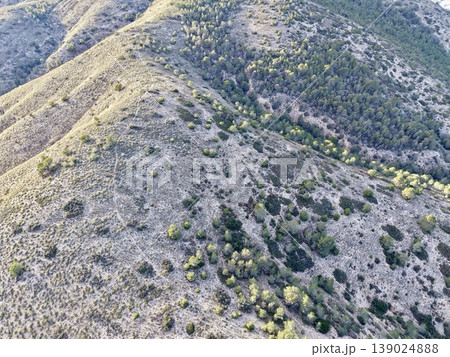 Dry Hillscape Exploration, Sunlit Slopes With Vegetation, Eroded Hillside Featuring Sparse Shrub Cover 139024888