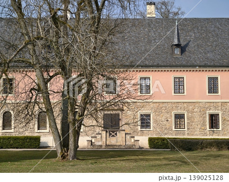 Pink Building With Bare Tree. Leafless Tree Presses Against Pink Facade Showing Shadows And Textures Pink Building With Bare Tree. Leafless Tree Presses Against Pink Facade Showing Shadows And Textures 139025128