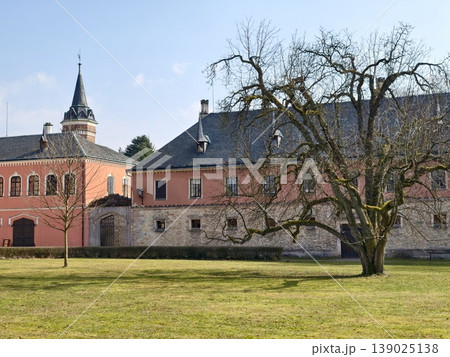 Tree Beside Estate. Lone Tree Adjacent To Pastel Estate On Broad Grassy Area With Architectural Features 139025138