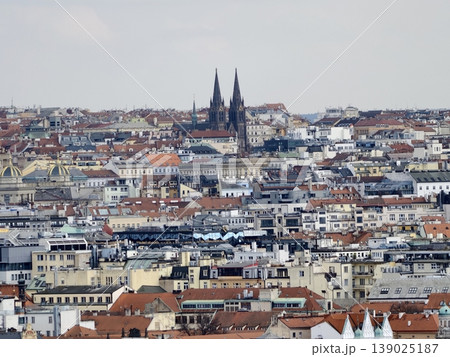 City View Showcasing Gothic Pinnacles Amid Textured Rooftops And Subdued Midday Illumination 139025187