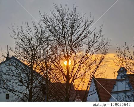 Calm Dusk With Glowing Outlines. Soft Amber Light Highlights Silhouettes Of Trees And Houses At Dusk Calm Dusk With Glowing Outlines. Soft Amber Light Highlights Silhouettes Of Trees And Houses At Dusk 139025643