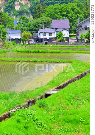 新緑の田舎風景　麓の民家　越後湯沢駅西口付近らの眺め　　 139025773
