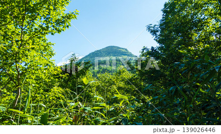 夏の岩菅山登山(アライタ沢~ノッキリ:岩菅山山頂を望む) 夏の岩菅山登山(アライタ沢~ノッキリ:岩菅山山頂を望む) 139026446