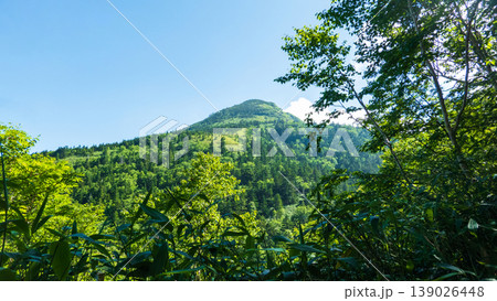 夏の岩菅山登山(アライタ沢~ノッキリ:岩菅山山頂を望む) 夏の岩菅山登山(アライタ沢~ノッキリ:岩菅山山頂を望む) 139026448