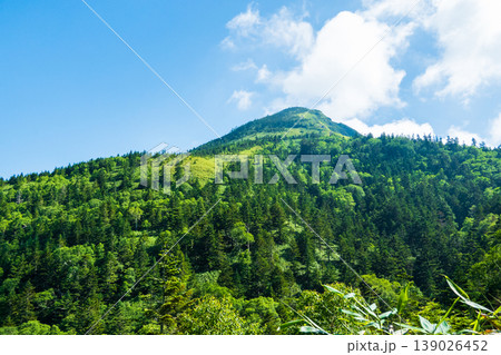 夏の岩菅山登山(アライタ沢~ノッキリ:岩菅山山頂を望む) 夏の岩菅山登山(アライタ沢~ノッキリ:岩菅山山頂を望む) 139026452