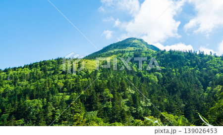 夏の岩菅山登山(アライタ沢~ノッキリ:岩菅山山頂を望む) 夏の岩菅山登山(アライタ沢~ノッキリ:岩菅山山頂を望む) 139026453