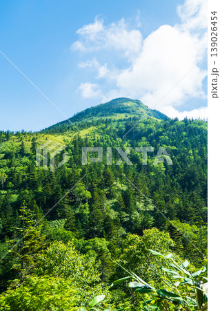 夏の岩菅山登山(アライタ沢~ノッキリ:岩菅山山頂を望む) 夏の岩菅山登山(アライタ沢~ノッキリ:岩菅山山頂を望む) 139026454