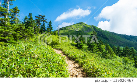 夏の岩菅山登山（ノッキリ～岩菅山山頂） 139026467