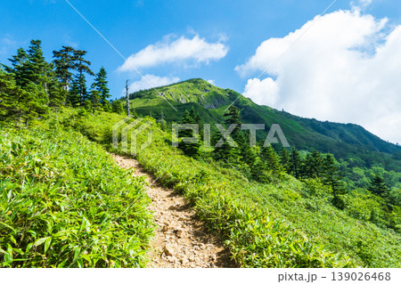 夏の岩菅山登山(ノッキリ~岩菅山山頂) 夏の岩菅山登山(ノッキリ~岩菅山山頂) 139026468