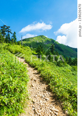 夏の岩菅山登山(ノッキリ~岩菅山山頂) 夏の岩菅山登山(ノッキリ~岩菅山山頂) 139026470