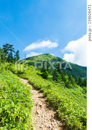 夏の岩菅山登山（ノッキリ～岩菅山山頂） 139026471
