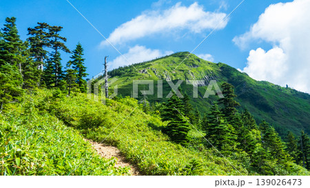 夏の岩菅山登山（ノッキリ～岩菅山山頂） 139026473