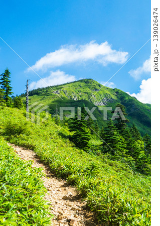 夏の岩菅山登山（ノッキリ～岩菅山山頂） 139026474