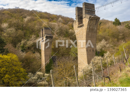 Massive abandoned bridge pillars rising above vineyard landscape with spring forest background 139027365