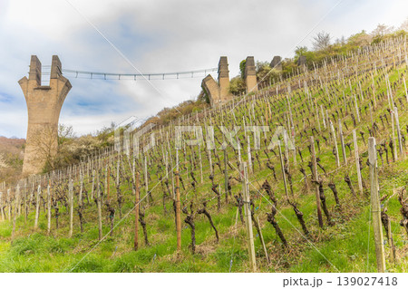 Vineyard landscape with abandoned concrete bridge pillars on hillside in spring countryside Vineyard landscape with abandoned concrete bridge pillars on hillside in spring countryside 139027418