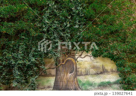 Ivy covered wall with painted tree mural urban nature green city eco concept background 139027641