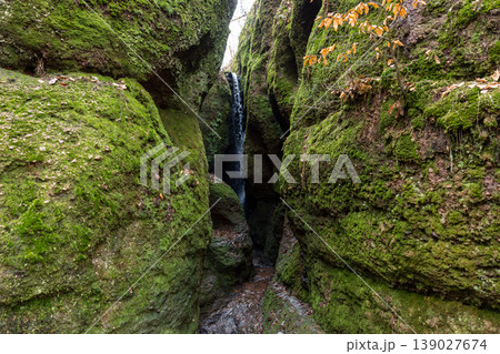 Moss Covered Canyon Waterfall Hidden Nature Landscape Travel Adventure Scenic View 139027674
