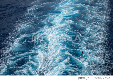 Turquoise Ocean Wake Texture With Seabird Over Deep Blue Water Surface Background 139027692
