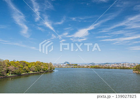 矢橋帰帆島 新緑の樹林 草津市 矢橋帰帆島 新緑の樹林 草津市 139027825