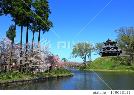 高田城址公園　満開の桜 139028111