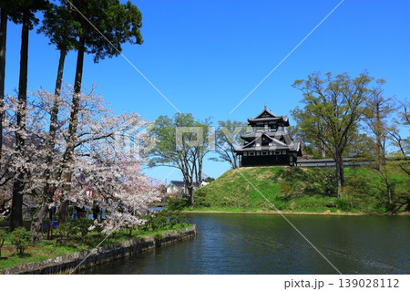 高田城址公園 満開の桜 高田城址公園 満開の桜 139028112
