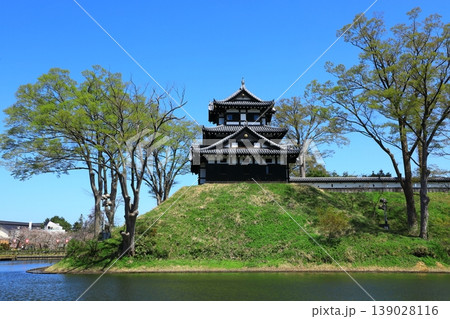 高田城址公園　満開の桜 139028116