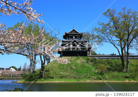 高田城址公園　満開の桜 139028117