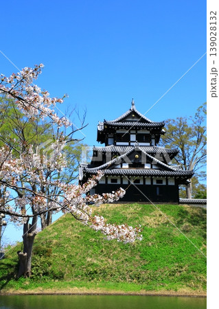 高田城址公園 満開の桜 高田城址公園 満開の桜 139028132