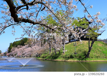 高田城址公園　満開の桜 139028260