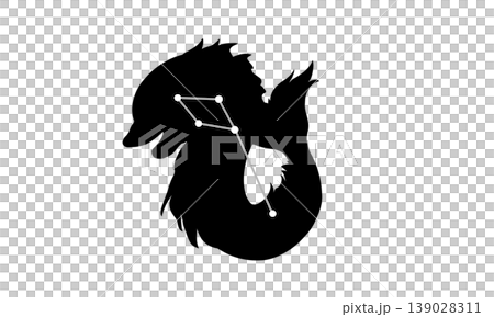 いるか座のシルエットイラスト（イルカの影絵と星座線） 139028311