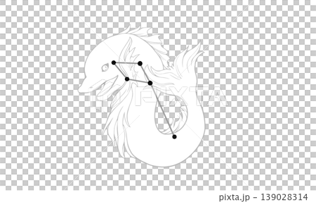 いるか座のモノクロ線画イラスト（イルカの絵と星座線） 139028314