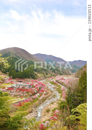 花桃の里　山より撮影 139028515