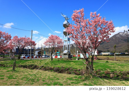 道の駅あらい 満開の桜 道の駅あらい 満開の桜 139028612