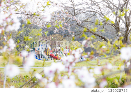 春の桜と利府町モリリン加瀬沼公園 139028735