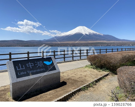 春の富士山　山中湖から 139028766