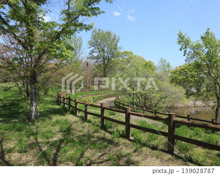 西神中央公園 新緑他 神戸市 西区 西神中央 西神中央公園 新緑他 神戸市 西区 西神中央 139028787