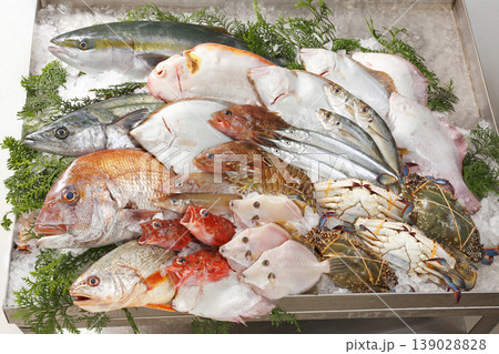 瀬戸内の鮮魚盛り合わせ　 139028828