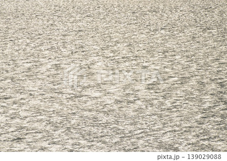 光る海 139029088