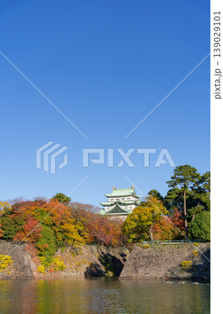 紅葉の名古屋城天守閣　東側から 139029101