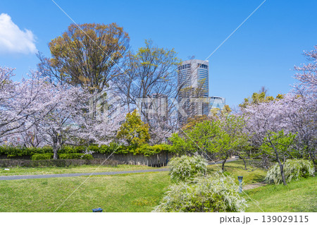 藤田邸跡公園の桜 139029115