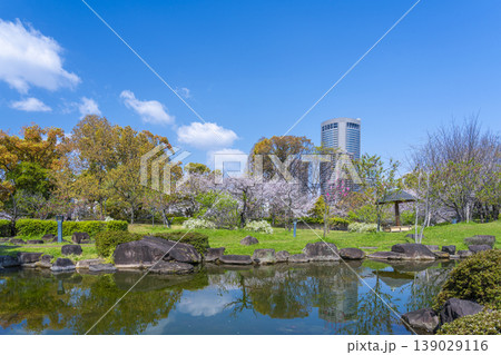 藤田邸跡公園の桜 139029116