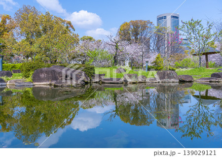 藤田邸跡公園の桜 藤田邸跡公園の桜 139029121